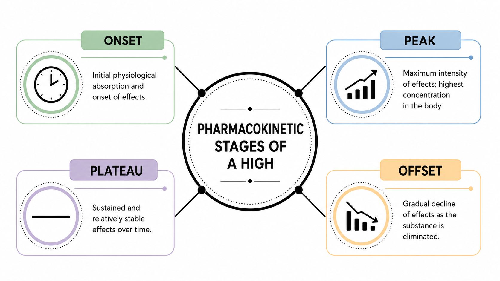 A diagram illustrating the four pharmacokinetic stages of a high: onset, peak, plateau, and offset.