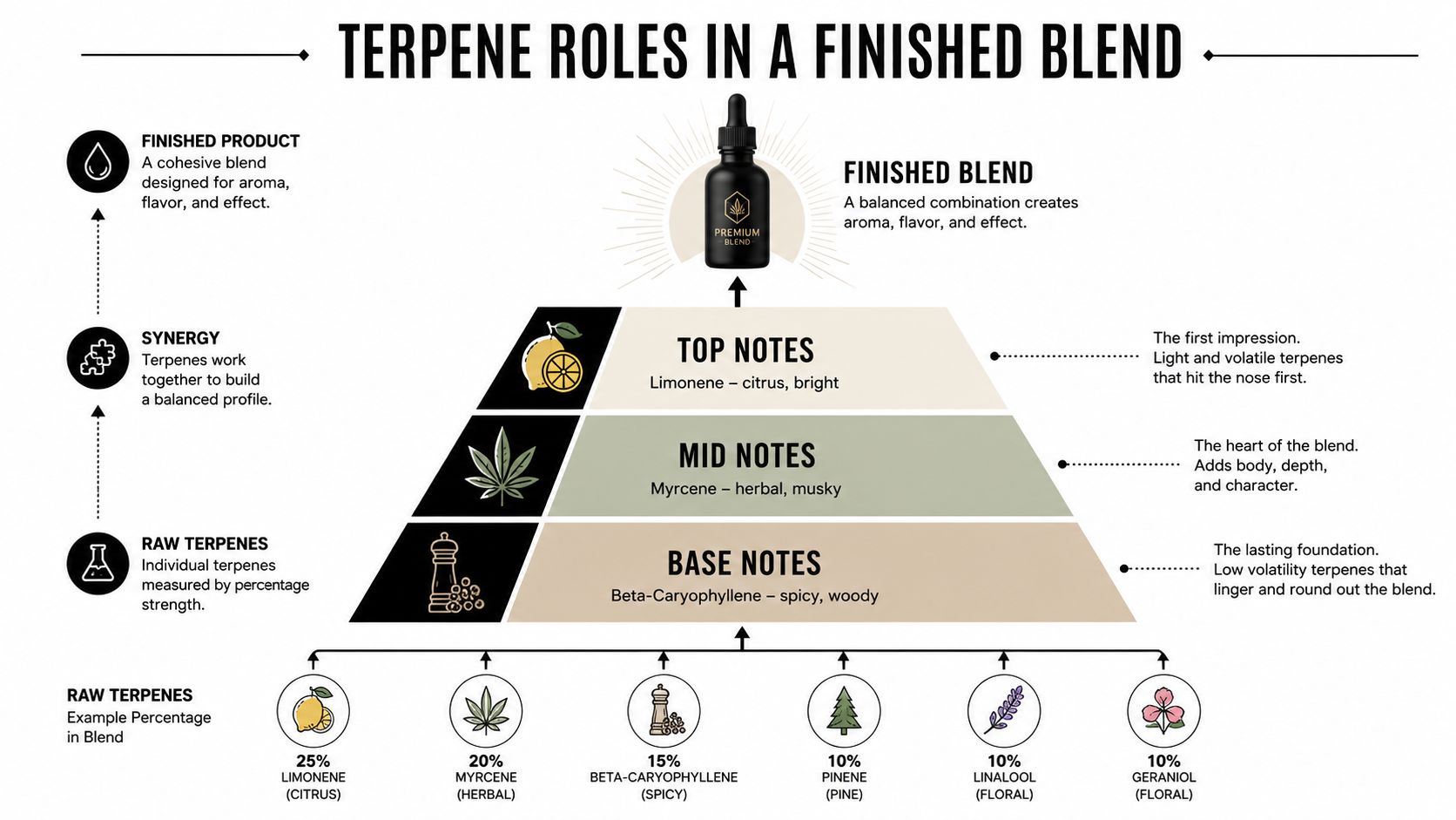 An infographic showing how different terpenes act as top, mid, and base notes in a finished blend.