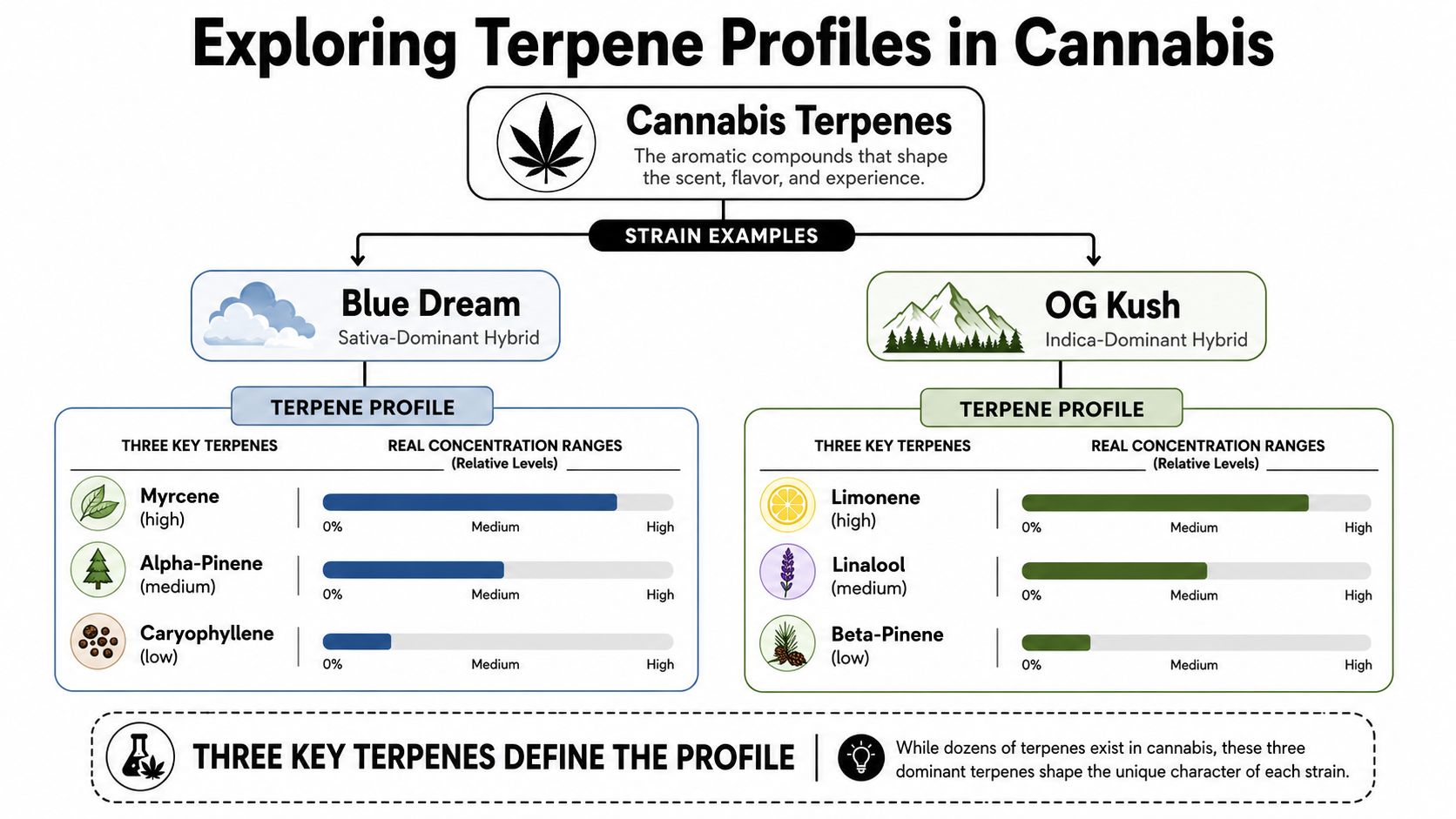 An infographic showing the terpene profiles of Blue Dream and OG Kush cannabis strains with relative concentration levels.