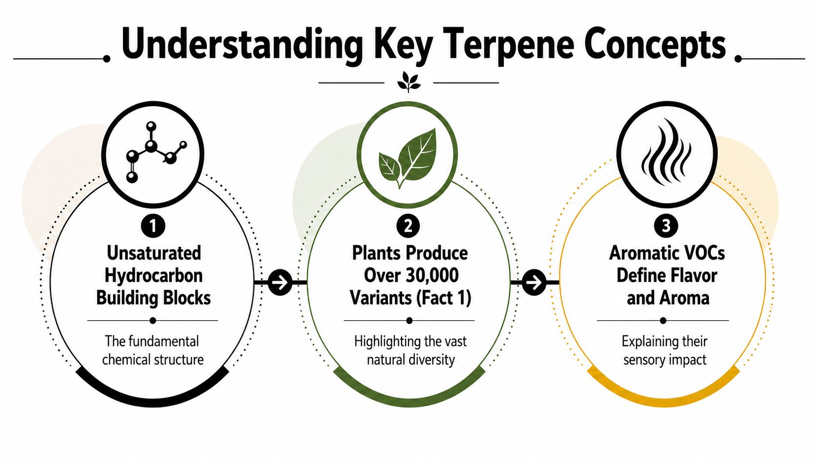 An infographic titled Understanding Key Terpene Concepts illustrating their structure, plant origin, and aromatic sensory impact.