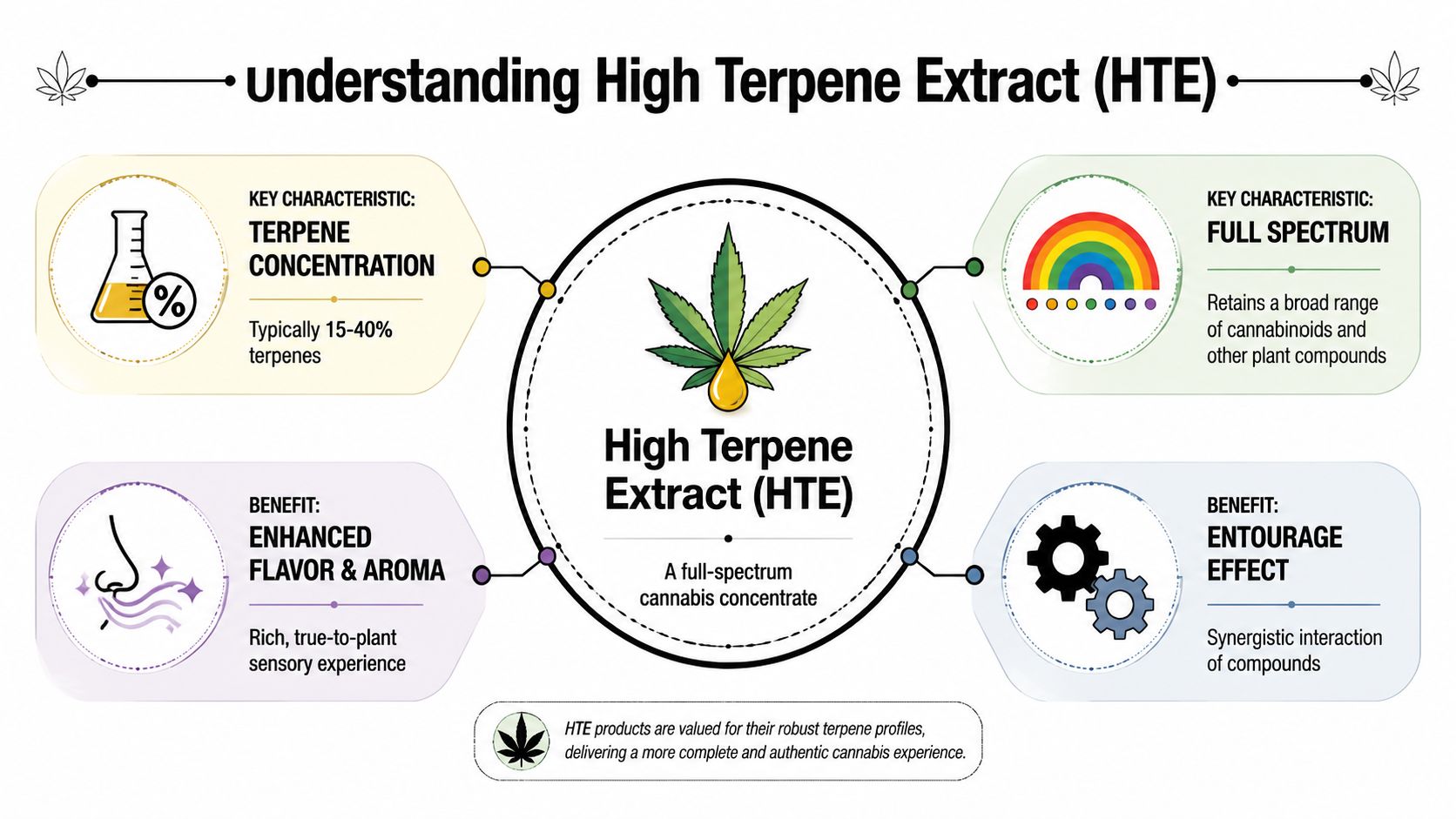 An infographic explaining High Terpene Extract, highlighting its high terpene concentration, full spectrum properties, flavor, and entourage effect.
