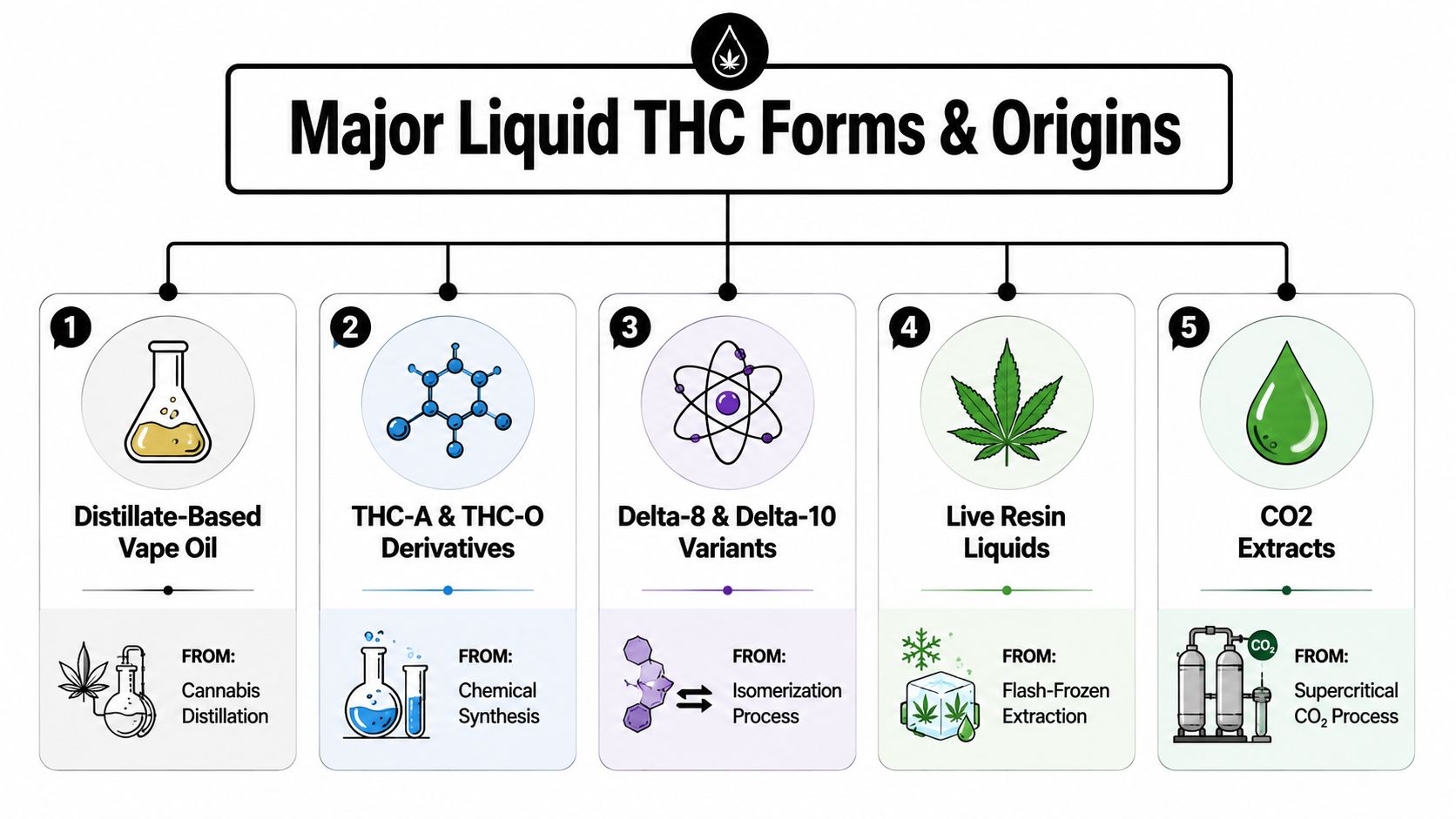 An infographic illustrating the five major forms of liquid THC and their specific production origins.