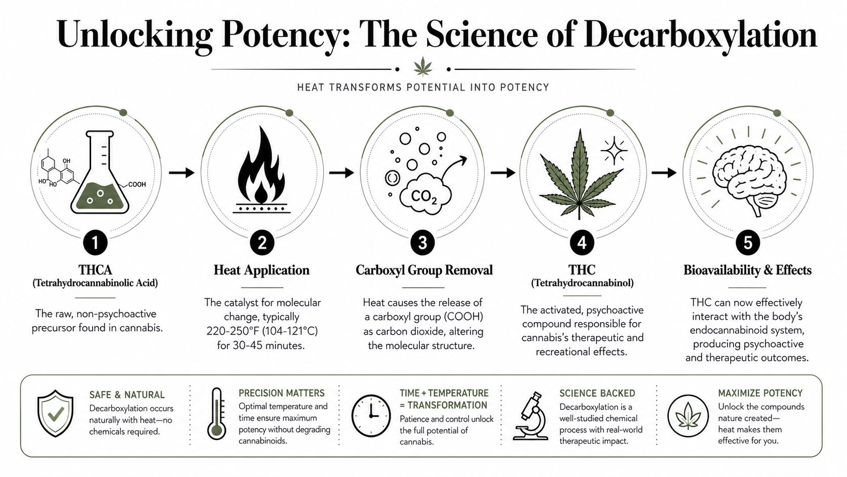 An infographic titled The Science of Decarboxylation showing how heat converts non-psychoactive THCA into active THC.