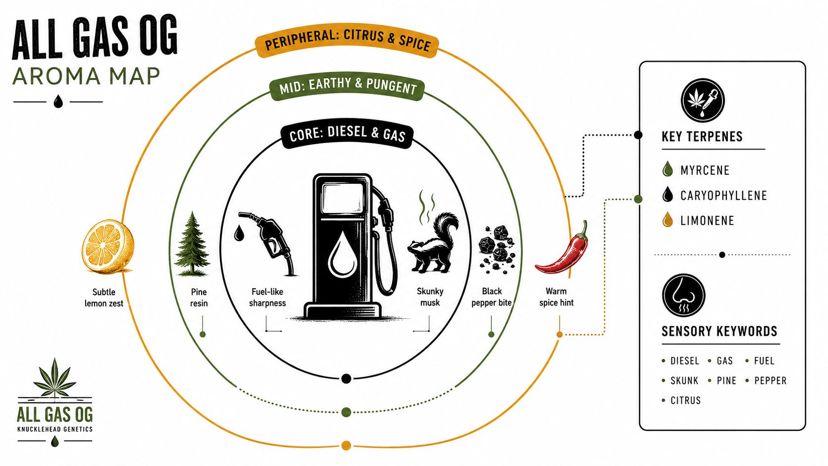 A detailed aroma map chart for the All Gas OG cannabis strain showcasing its terpene profile characteristics.