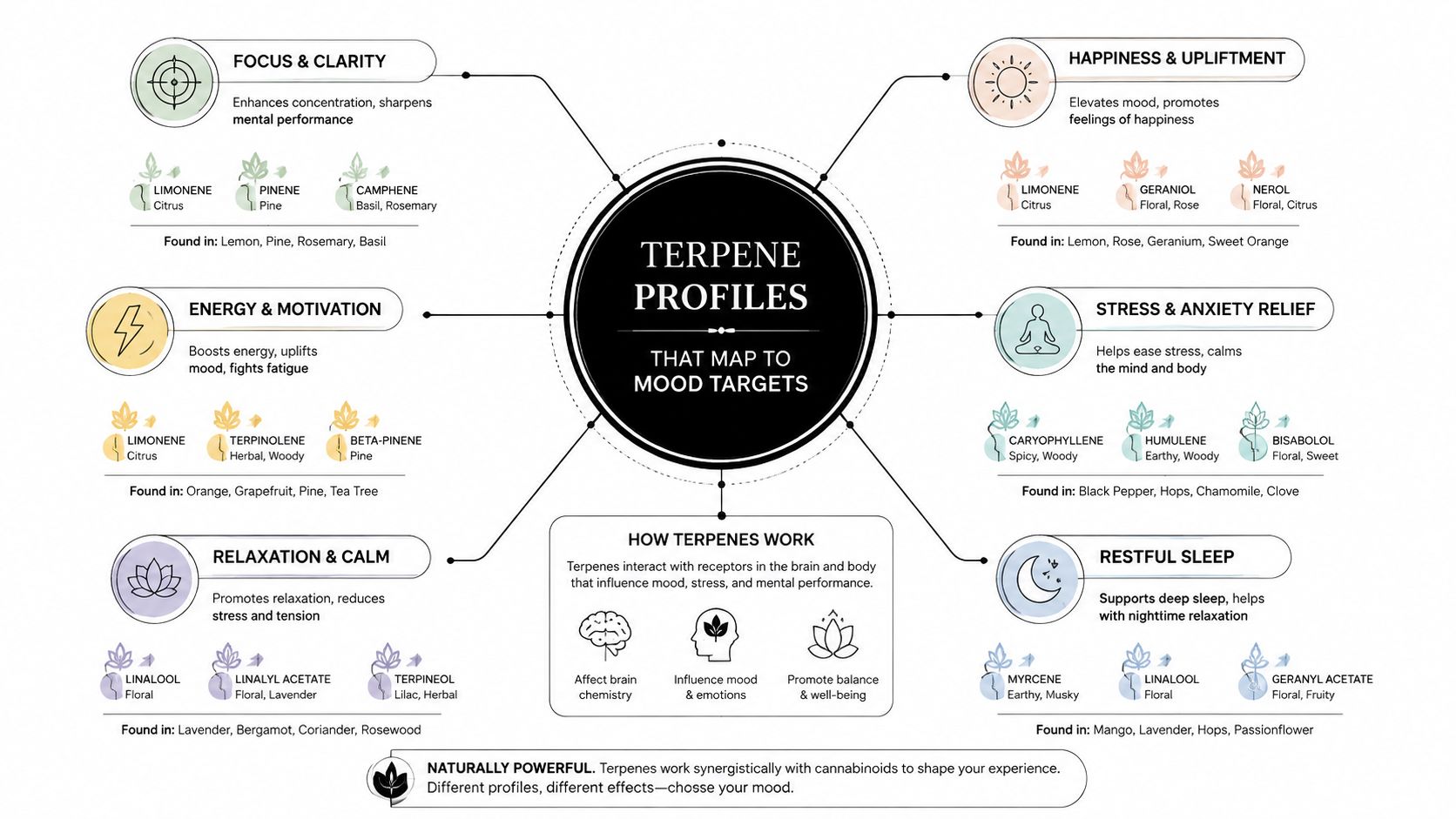 A visual diagram explaining how different terpene profiles map to specific mood targets and mental states.