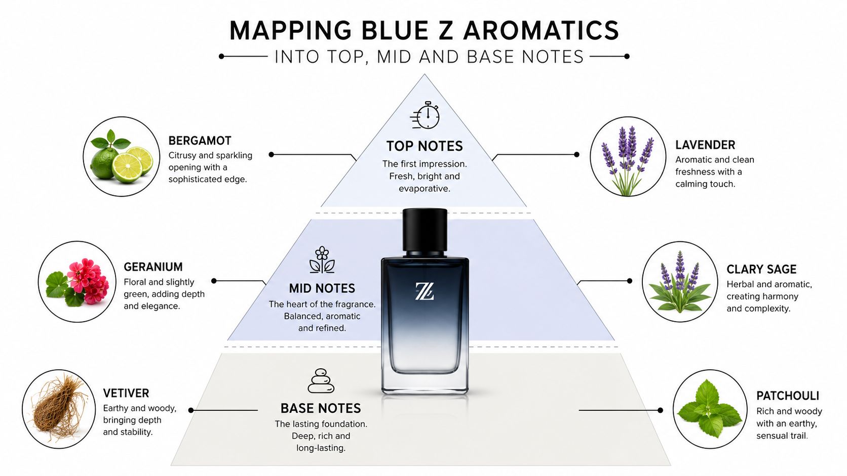 An infographic showing the fragrance pyramid of Blue Z cologne, featuring top, mid, and base aromatic notes.