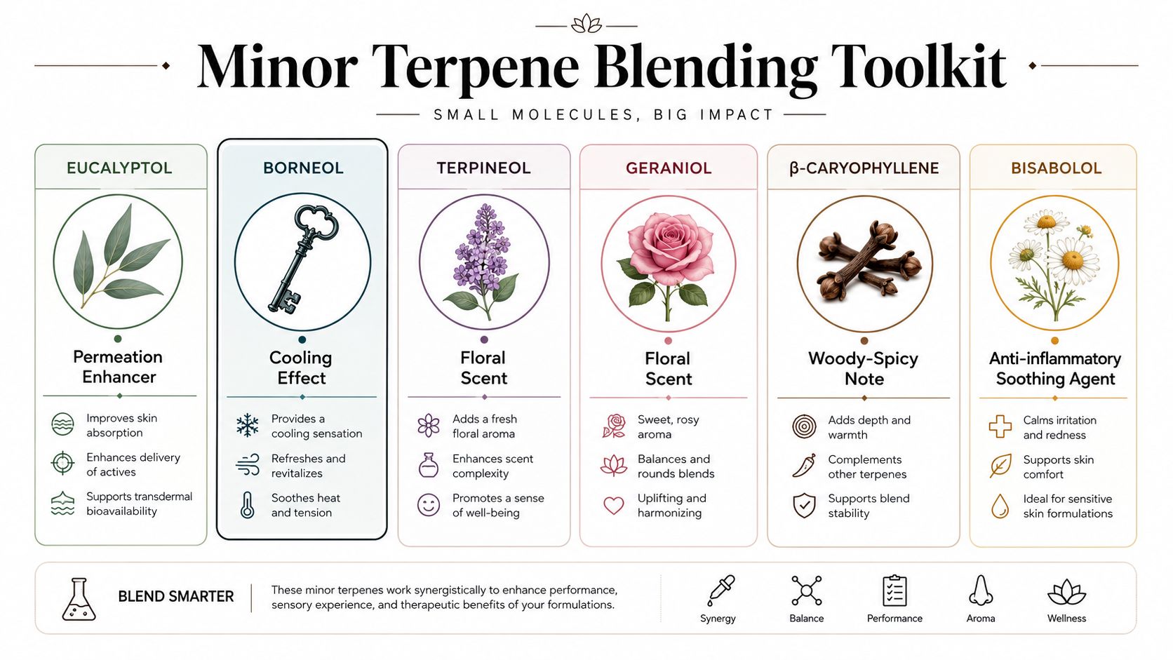 A visual guide illustrating the properties and benefits of minor terpenes including eucalyptol, borneol, terpineol, geraniol, caryophyllene, and bisabolol.