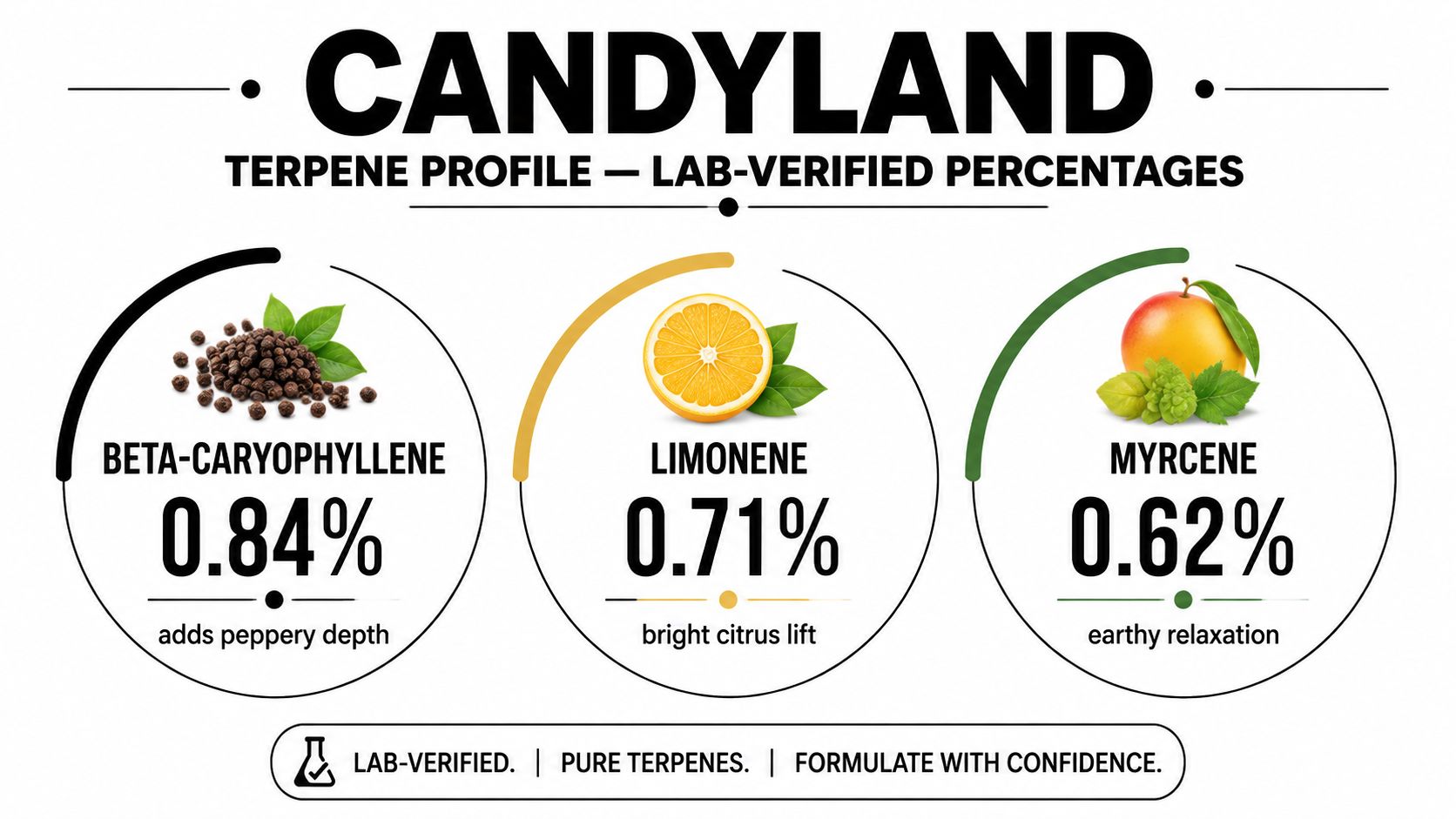 A lab-verified terpene profile infographic for the Candyland strain displaying percentages of beta-caryophyllene, limonene, and myrcene.