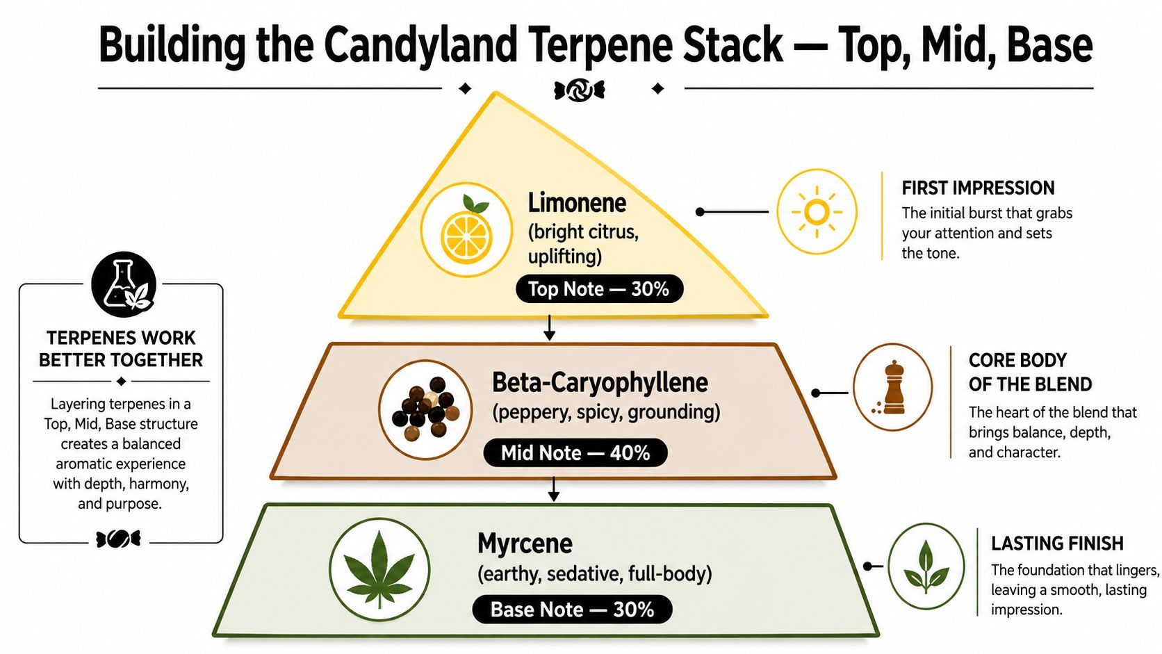 An infographic detailing the Candyland terpene stack, highlighting Limonene, Beta-Caryophyllene, and Myrcene in a layered pyramid structure.