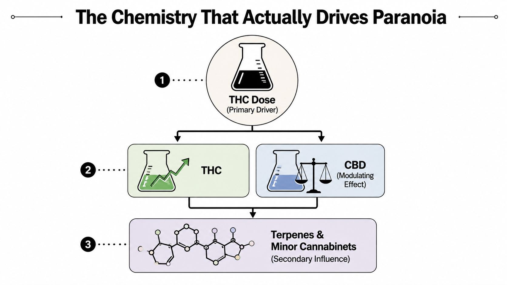 A diagram illustrating the chemical factors that contribute to cannabis-induced paranoia, highlighting THC, CBD, and terpenes.