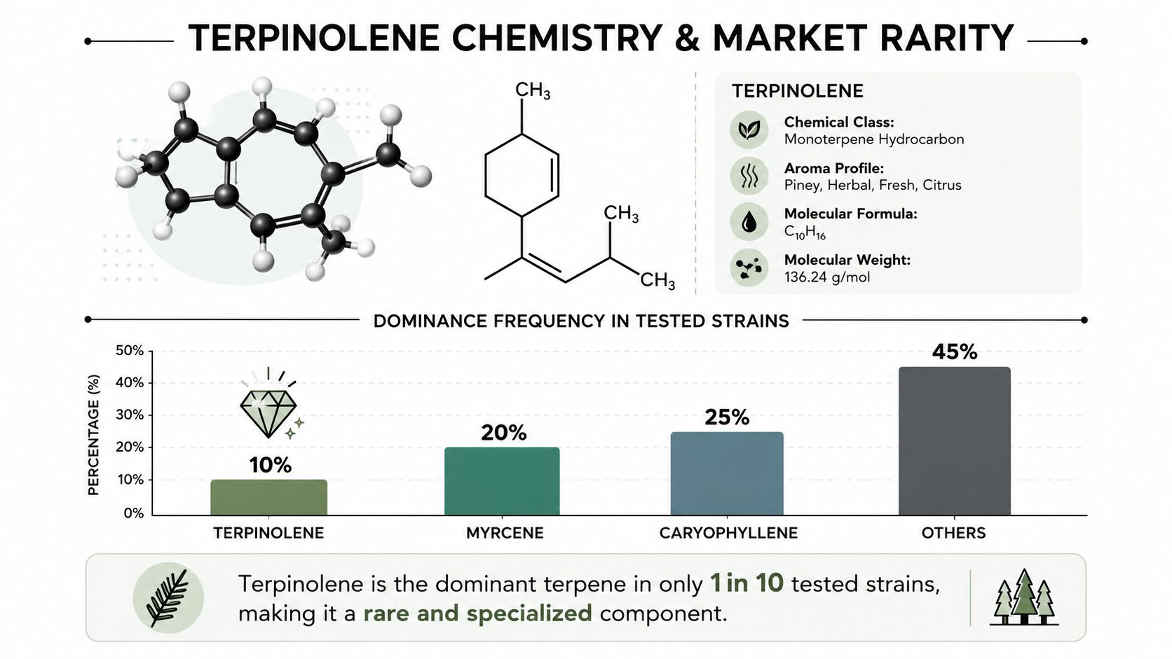 An infographic detailing the chemistry, molecular structure, and market rarity of the terpene terpinolene.