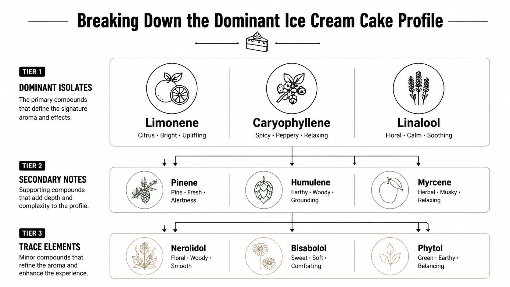 A detailed infographic titled Breaking Down the Dominant Ice Cream Cake Profile showing various terpene chemical compounds.