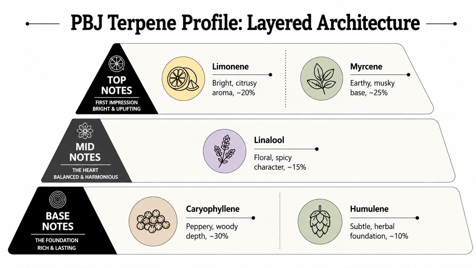 A diagram illustrating the terpene profile of the PBJ cannabis strain broken down into base, mid, and top notes.