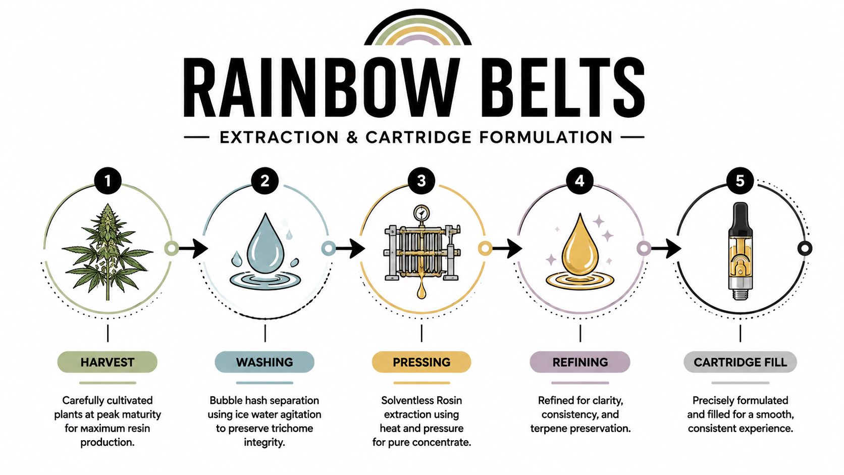 A five-step infographic showing the extraction and cartridge formulation process for Rainbow Belts cannabis strain products.