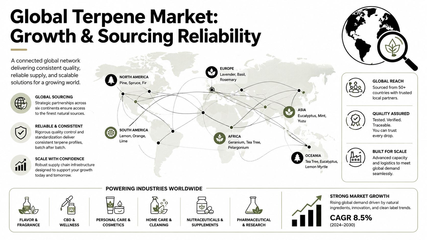 An infographic showing the global terpene market, including sourcing regions, industries served, and projected market growth.