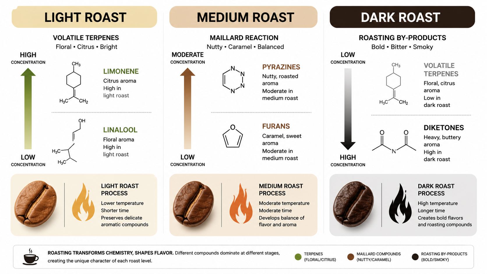 A detailed chart illustrating how roasting processes affect the chemical compounds, aromas, and flavors in coffee beans.