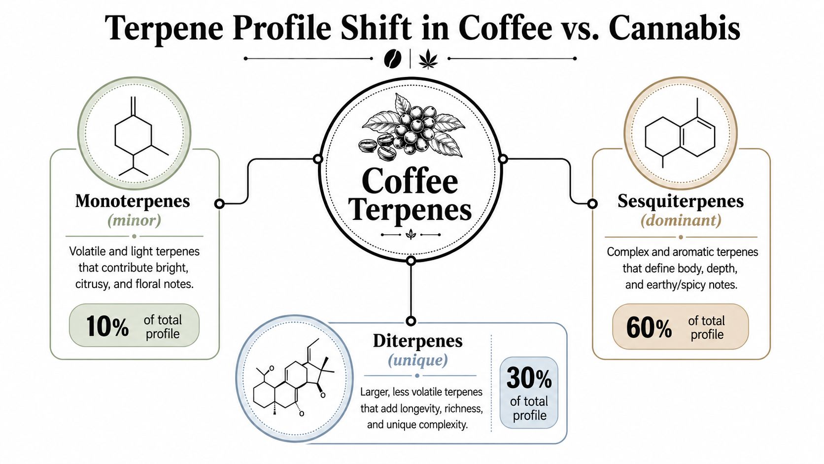 An infographic diagram illustrating the distribution and types of terpenes found in coffee beans.