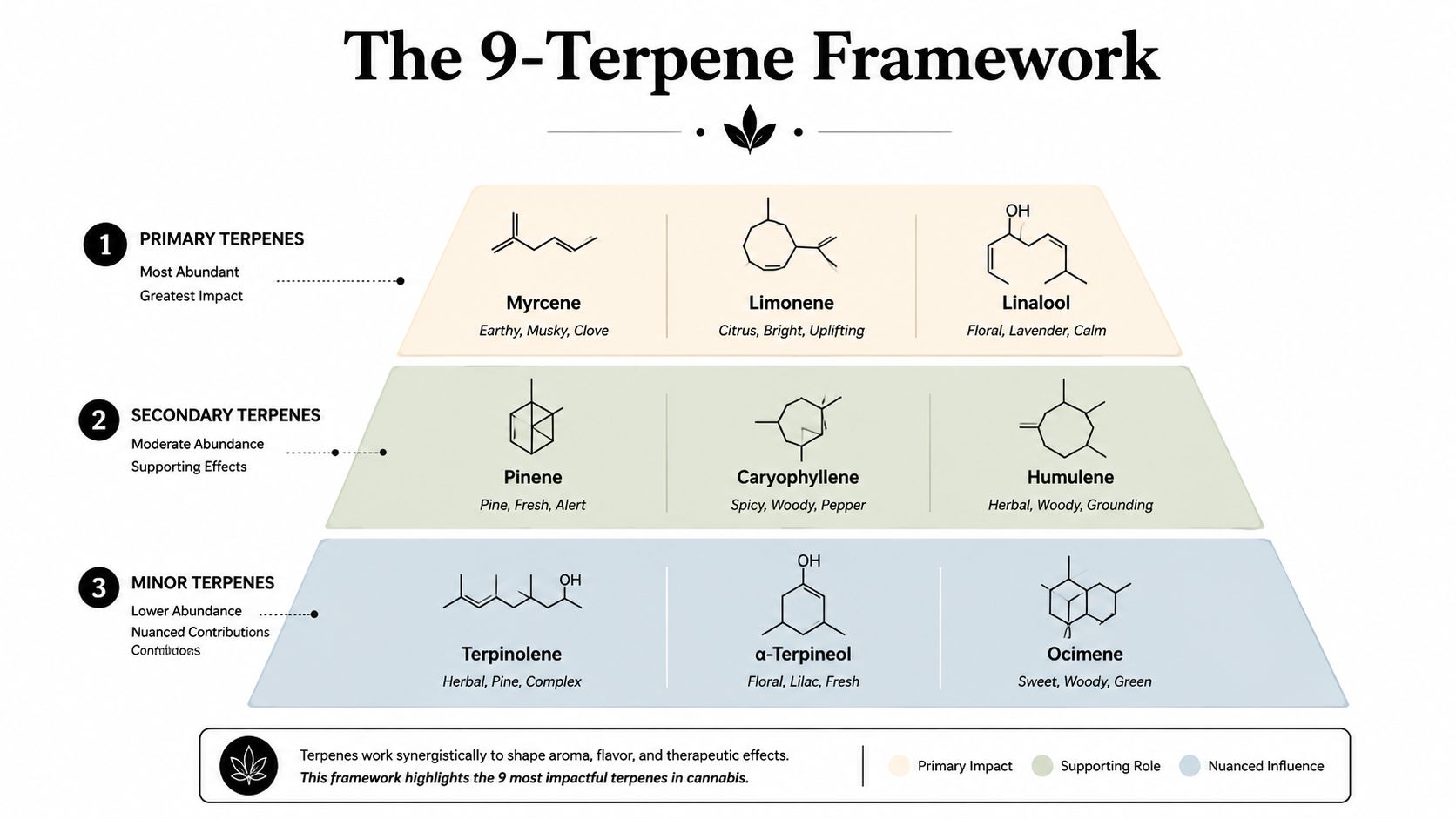 A visual framework showing the nine most impactful cannabis terpenes categorized by abundance and aromatic profile.
