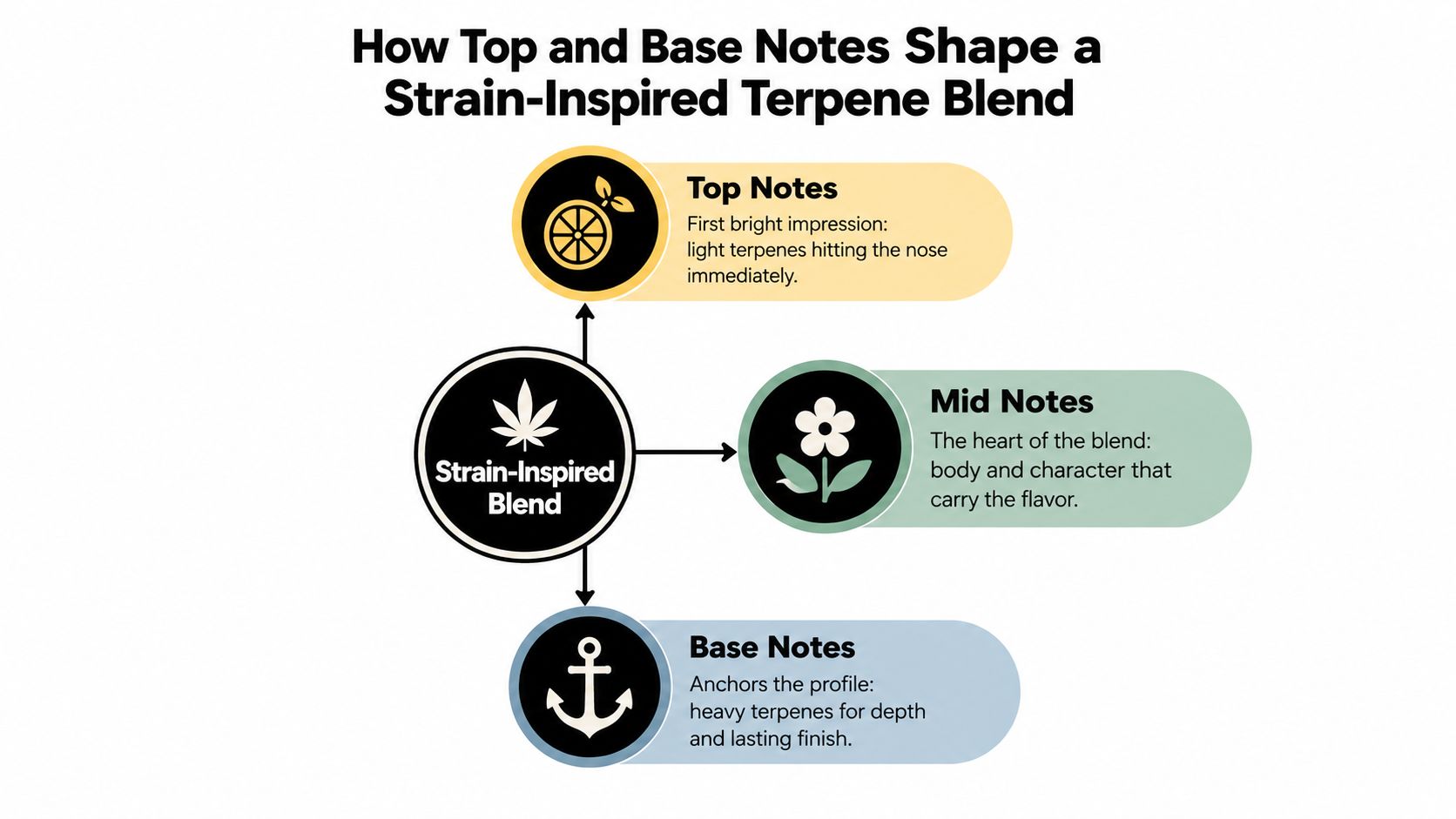A diagram explaining how top, mid, and base notes shape a strain-inspired terpene blend with icons.