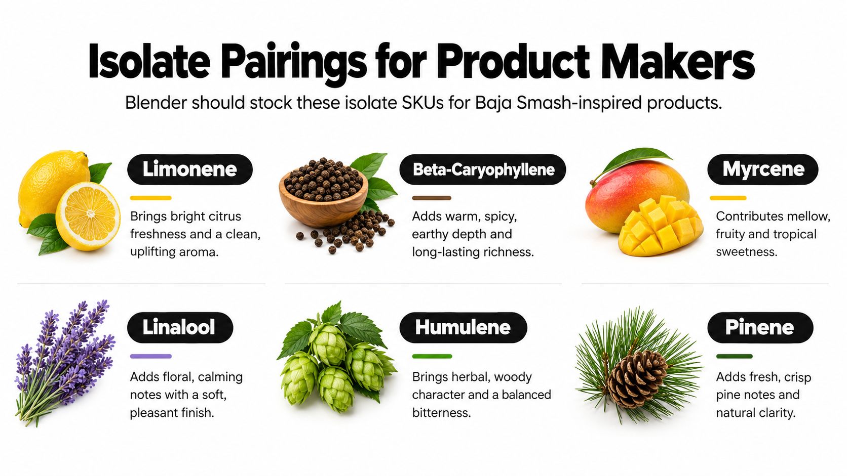 An infographic displaying six essential terpene isolates for creating Baja Smash-inspired products with their flavor profiles.