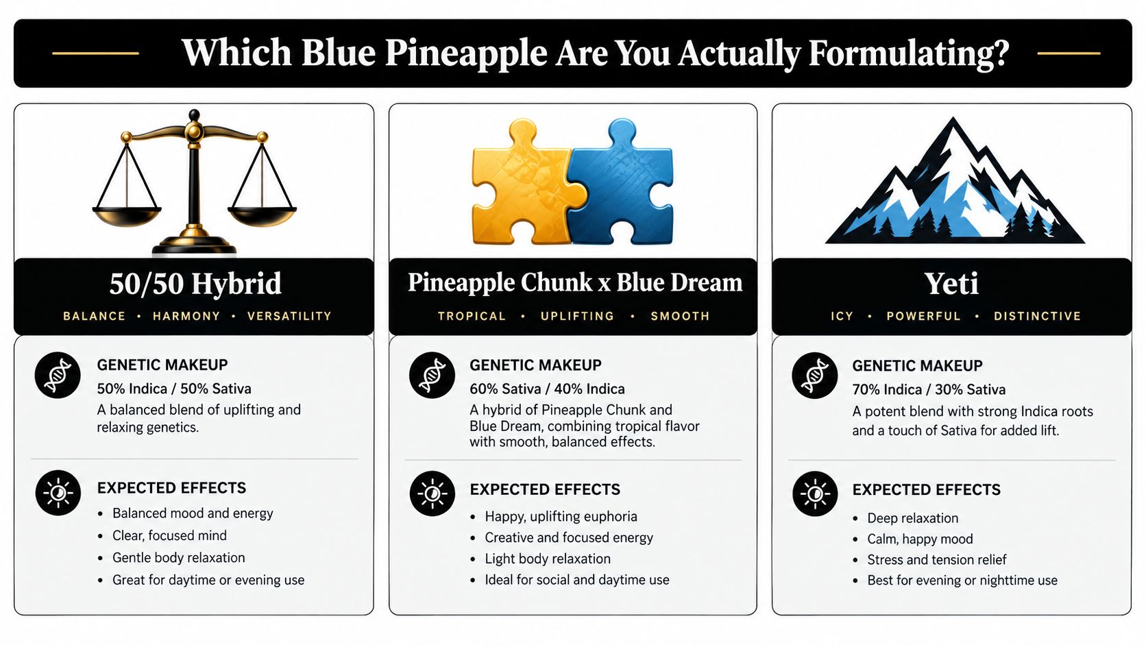A comparison chart of three different Blue Pineapple cannabis strain formulations featuring their genetic makeup and effects.