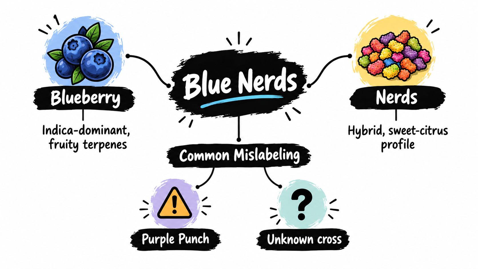 An infographic explaining the Blue Nerds strain, detailing its genetic components and common issues with mislabeling.