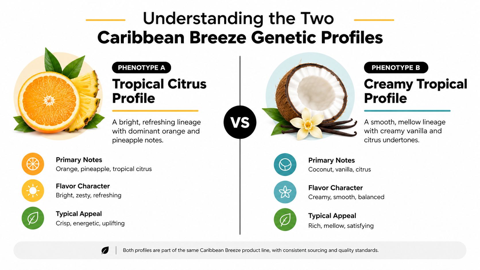 An infographic comparing the two distinct genetic profiles of the Caribbean Breeze product line: tropical citrus versus creamy tropical.