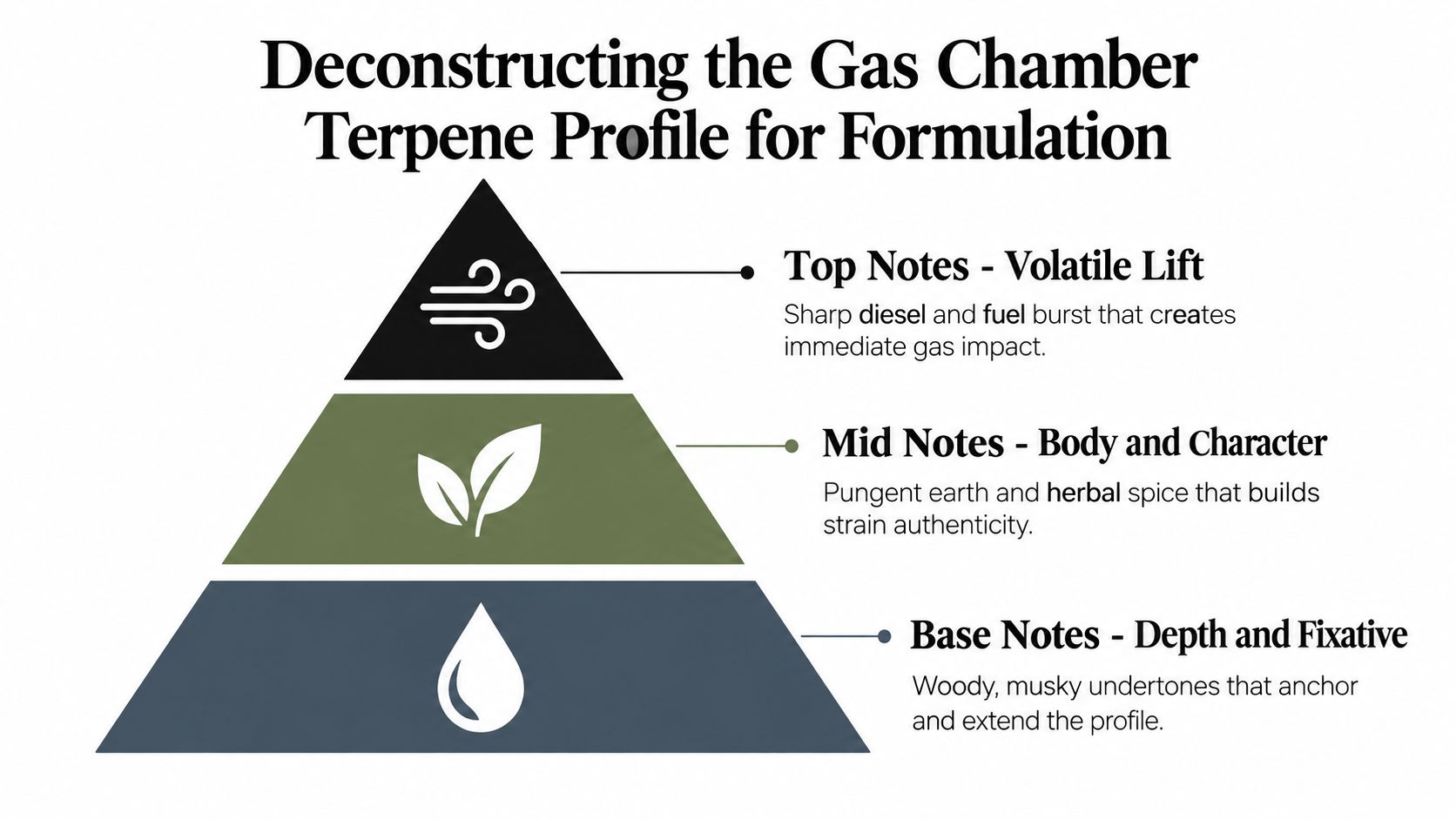 An infographic pyramid deconstructing the gas chamber terpene profile into top, mid, and base notes.