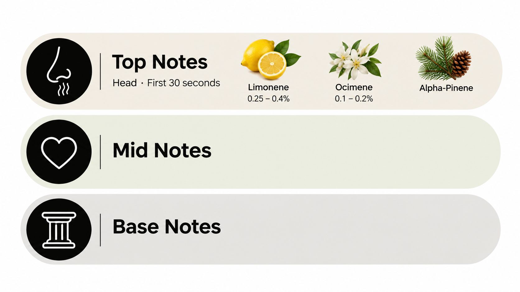A graphic showing fragrance notes of the Honey Apple Crisp strain, highlighting top notes like limonene.