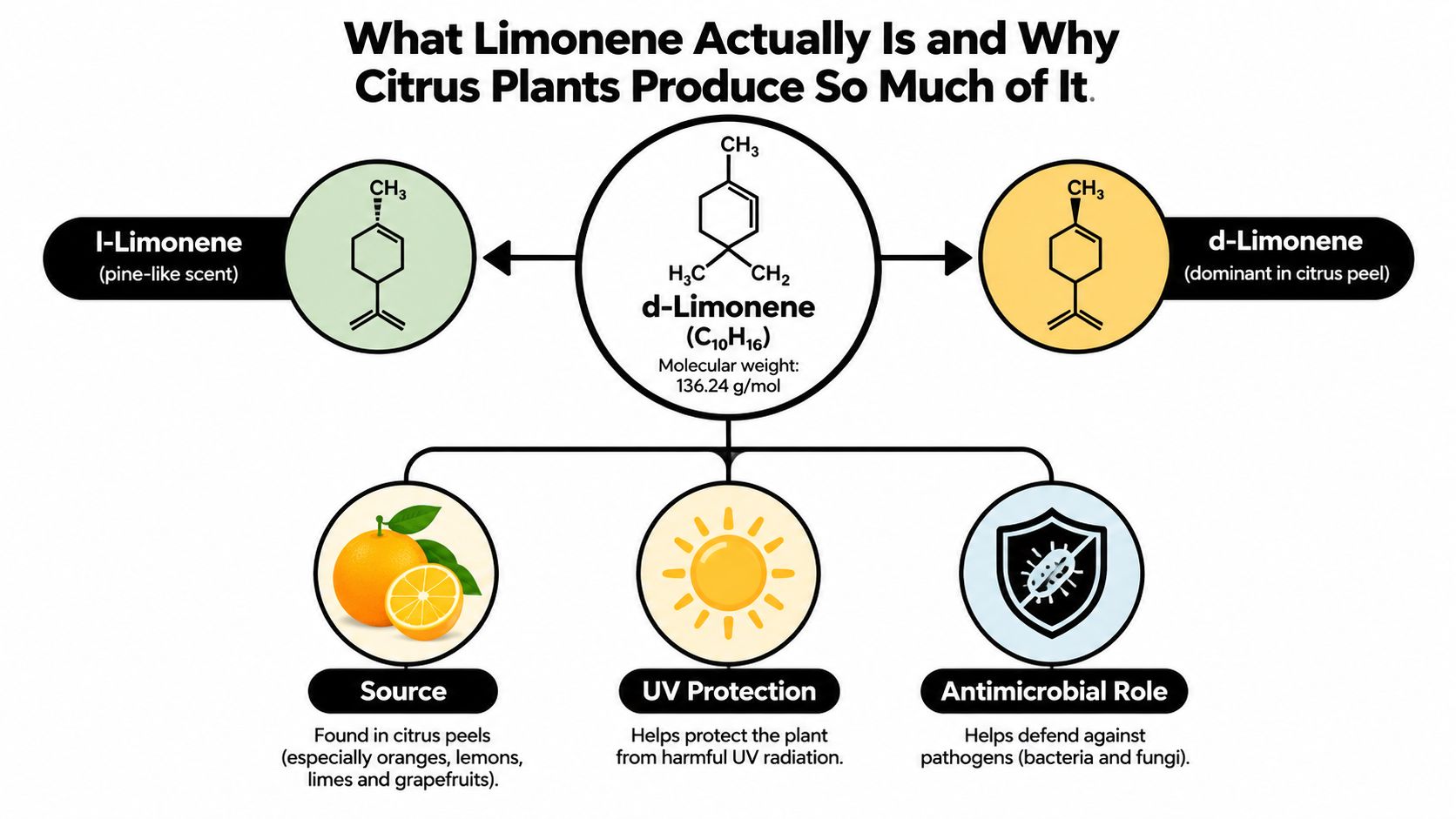 A chemical infographic explaining d-limonene, its variations, and its protective roles in citrus plants.