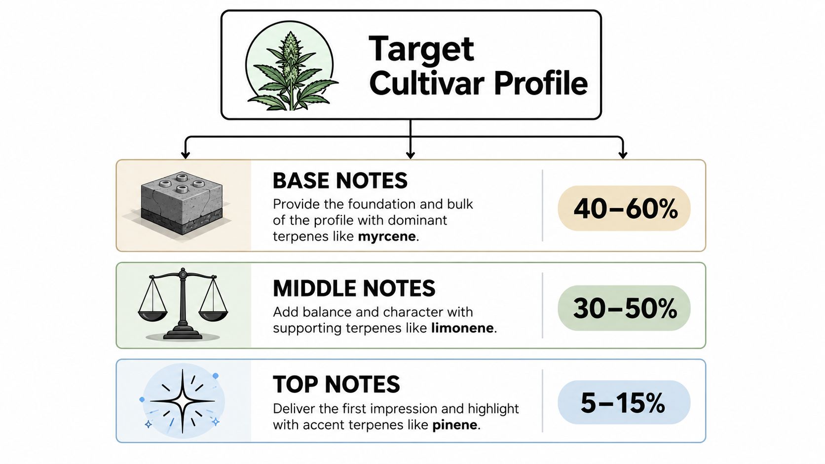 A diagram explaining the terpene profile structure for a cultivar, showing base, middle, and top note categories.