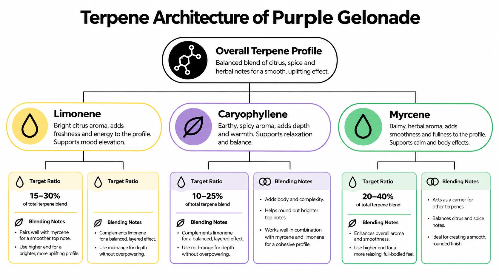 A detailed infographic showing the terpene architecture of the Purple Gelonade cannabis strain and its components.