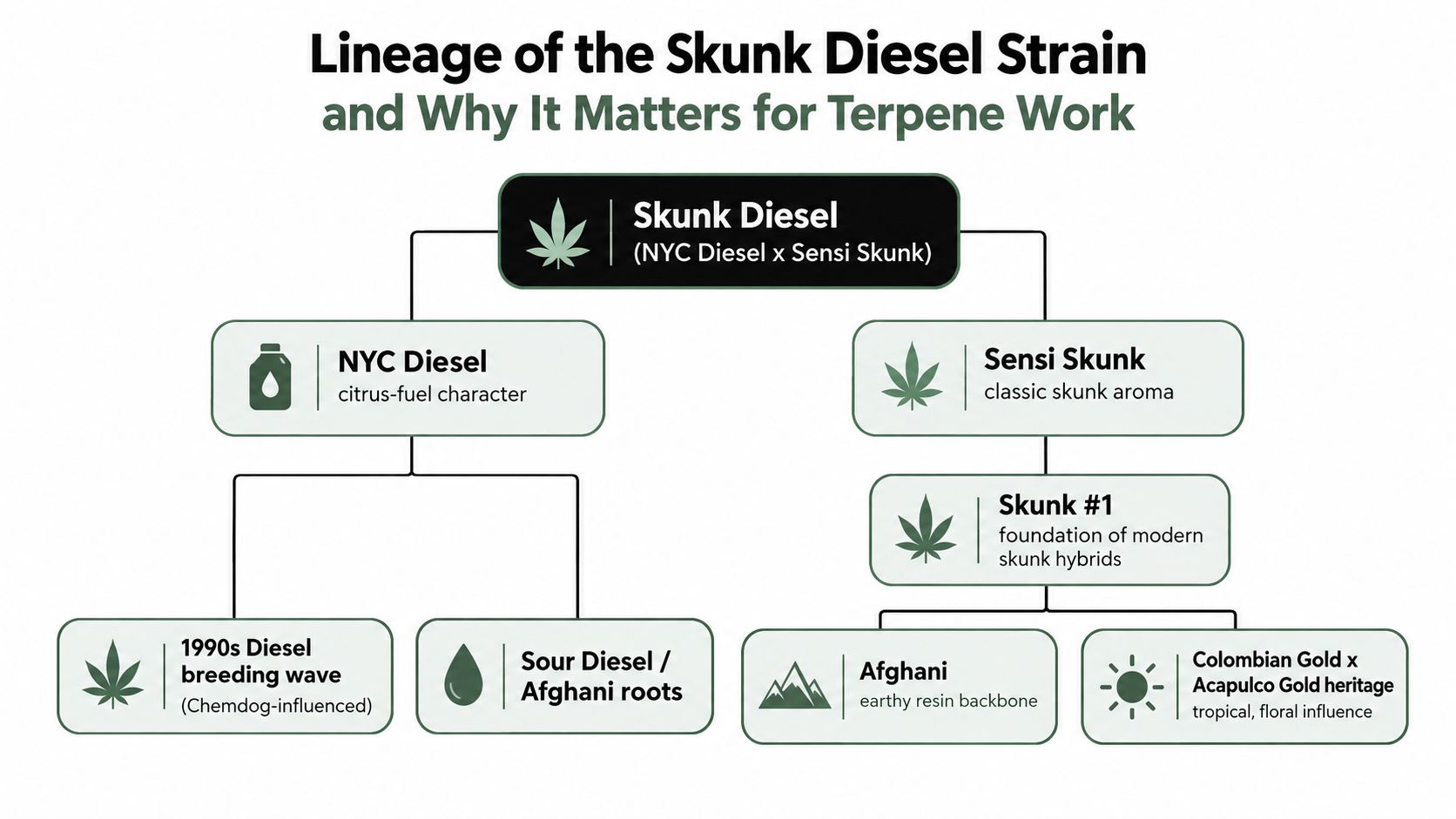 A diagram illustrating the genetic lineage and breeding history of the Skunk Diesel cannabis strain.