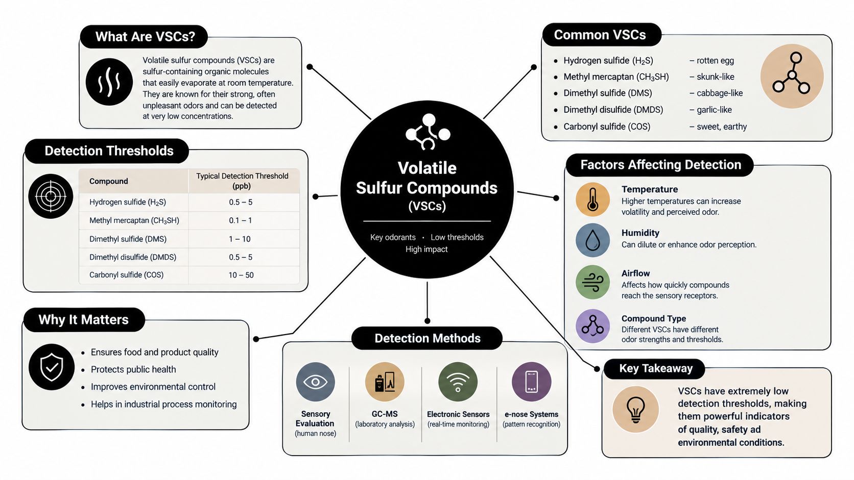 A comprehensive infographic explaining the definition, characteristics, detection methods, and impacts of volatile sulfur compounds.