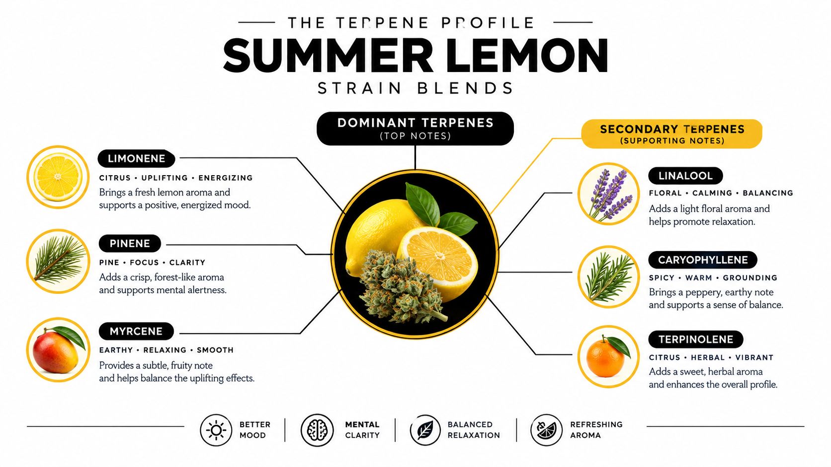 An infographic titled Summer Lemon Strain Blends detailing the primary and secondary terpene profiles and effects.