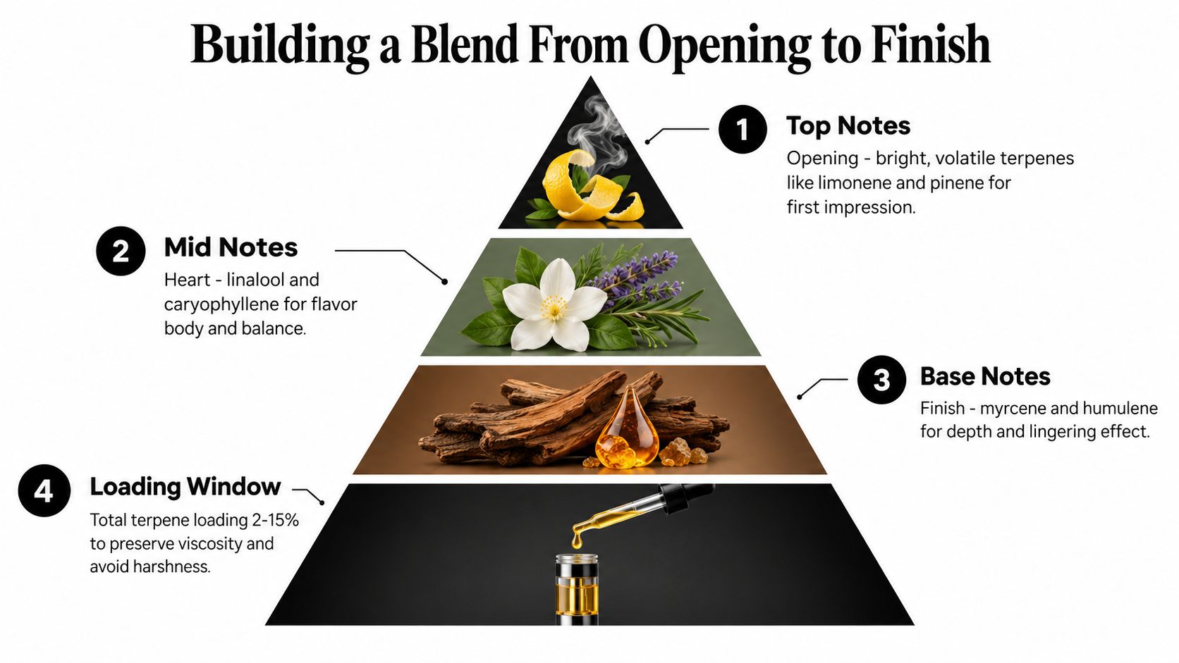 An educational pyramid diagram showing the structure of terpene blending, from top notes to base notes.