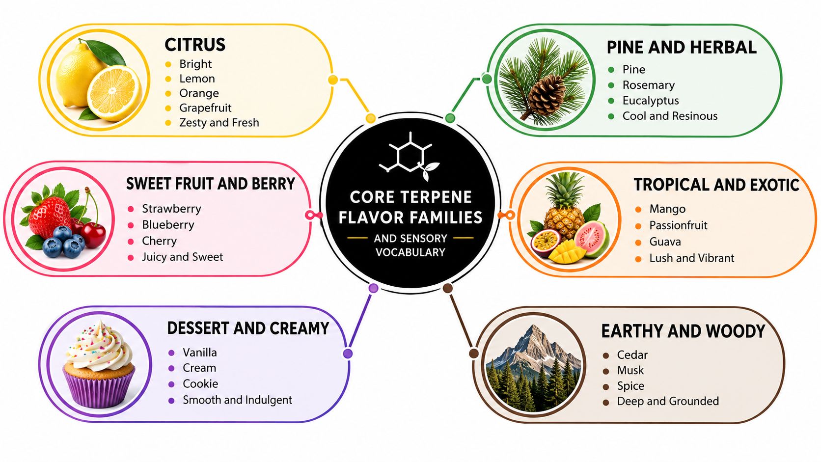 A diagram categorizing core terpene flavor families, including citrus, pine, fruit, dessert, tropical, and earthy profiles.