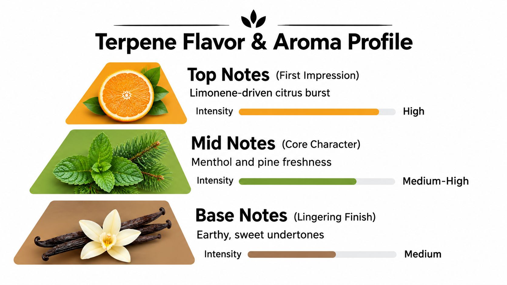 A visual guide illustrating the Top, Mid, and Base notes for the Thin Mintz strain flavor profile.