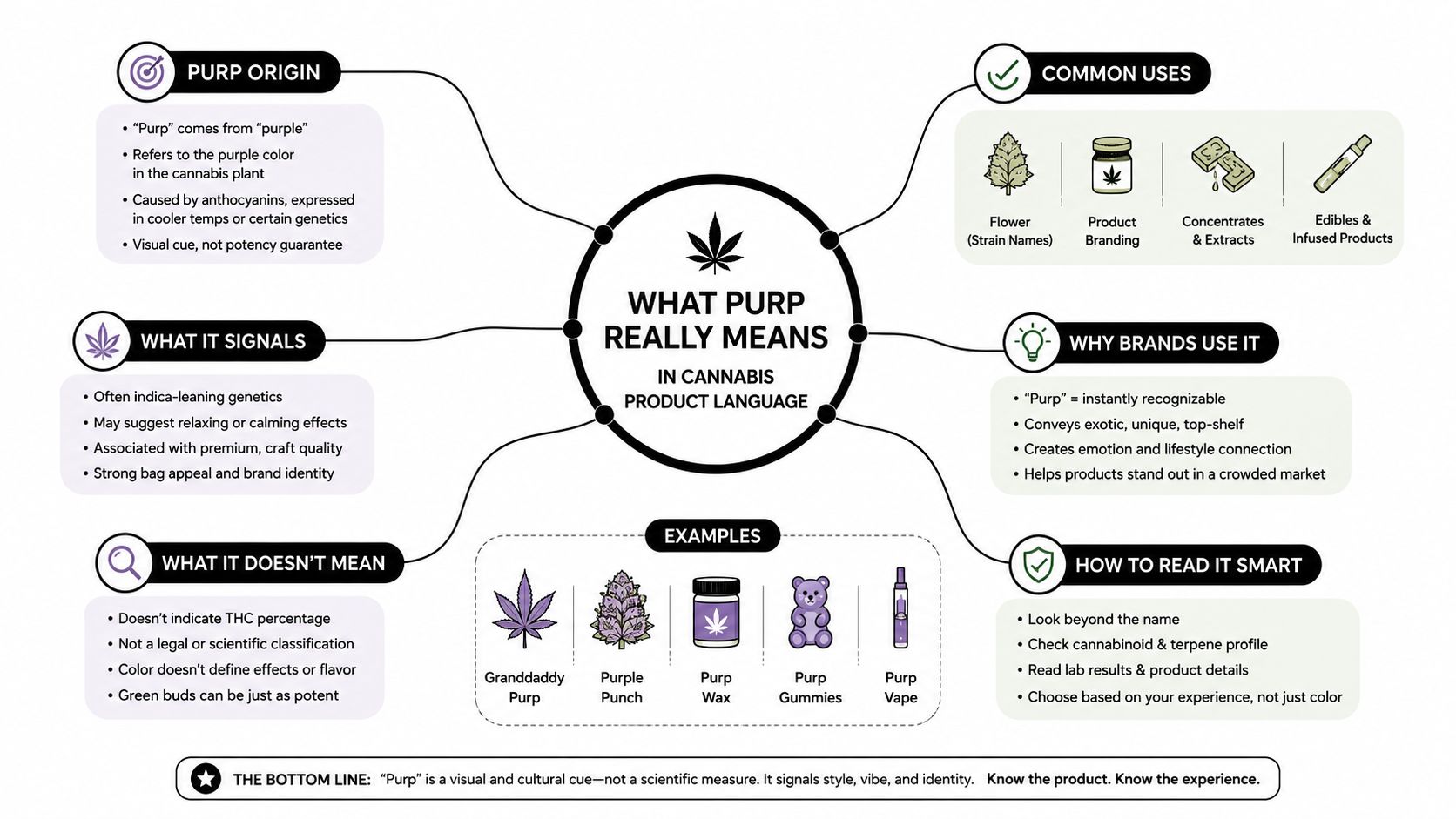 An infographic explaining that the term purp in cannabis refers to visual color and branding rather than potency.