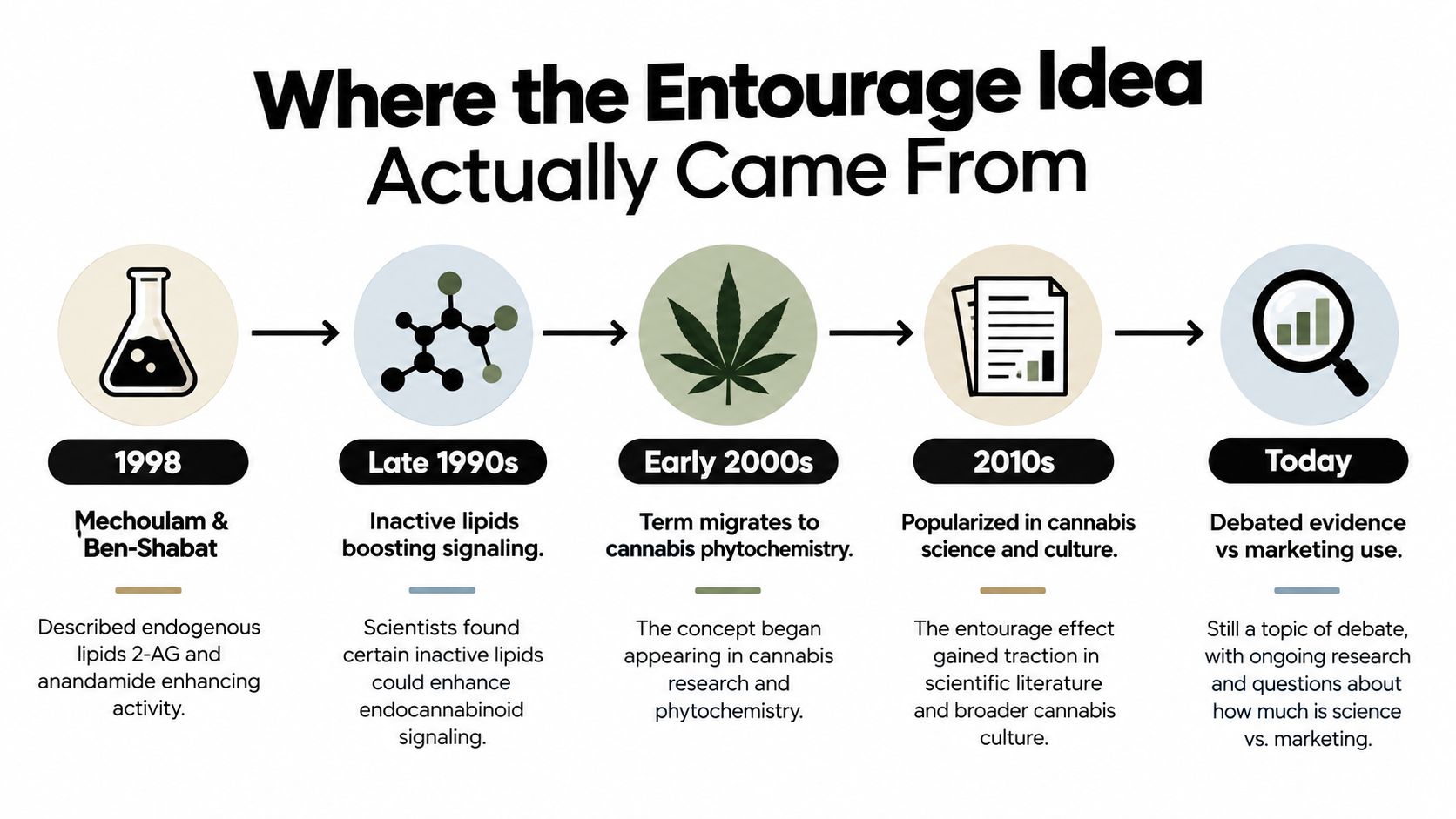 A timeline graphic illustrating the historical development and evolution of the entourage effect concept in cannabis science.