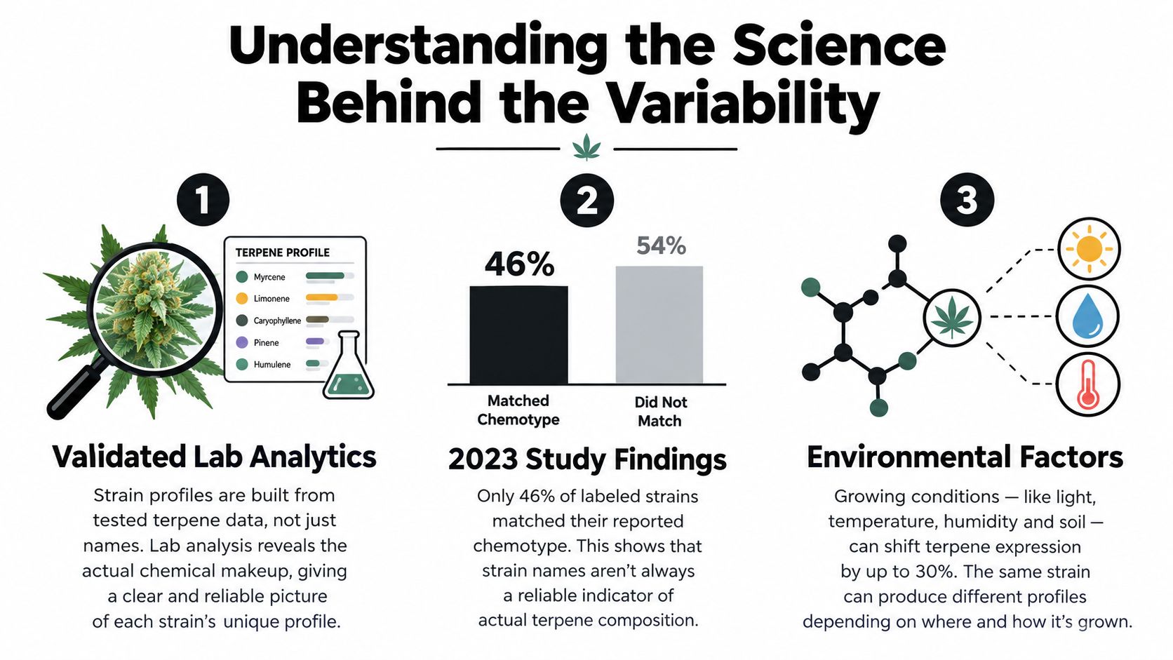 An infographic titled Understanding the Science Behind the Variability, highlighting lab analytics, study findings, and environmental factors.
