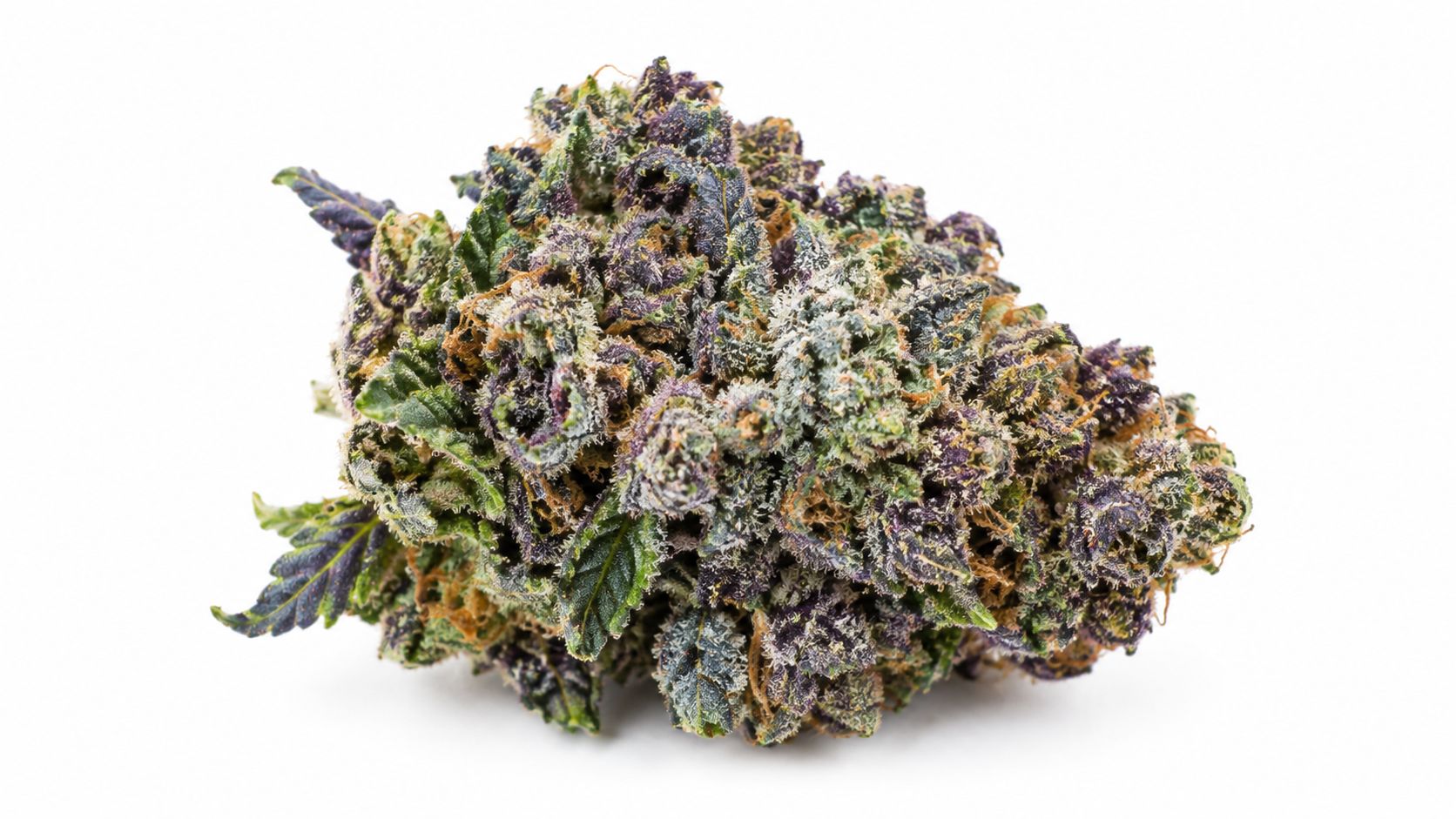 A close-up studio shot of a high-quality Blue Runtz cannabis flower bud on a white background.