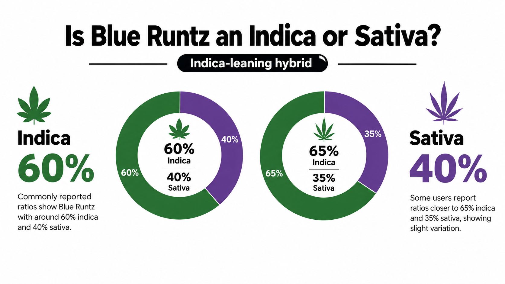 An infographic showing Blue Runtz as an indica-leaning hybrid with varying ratios of indica and sativa content.