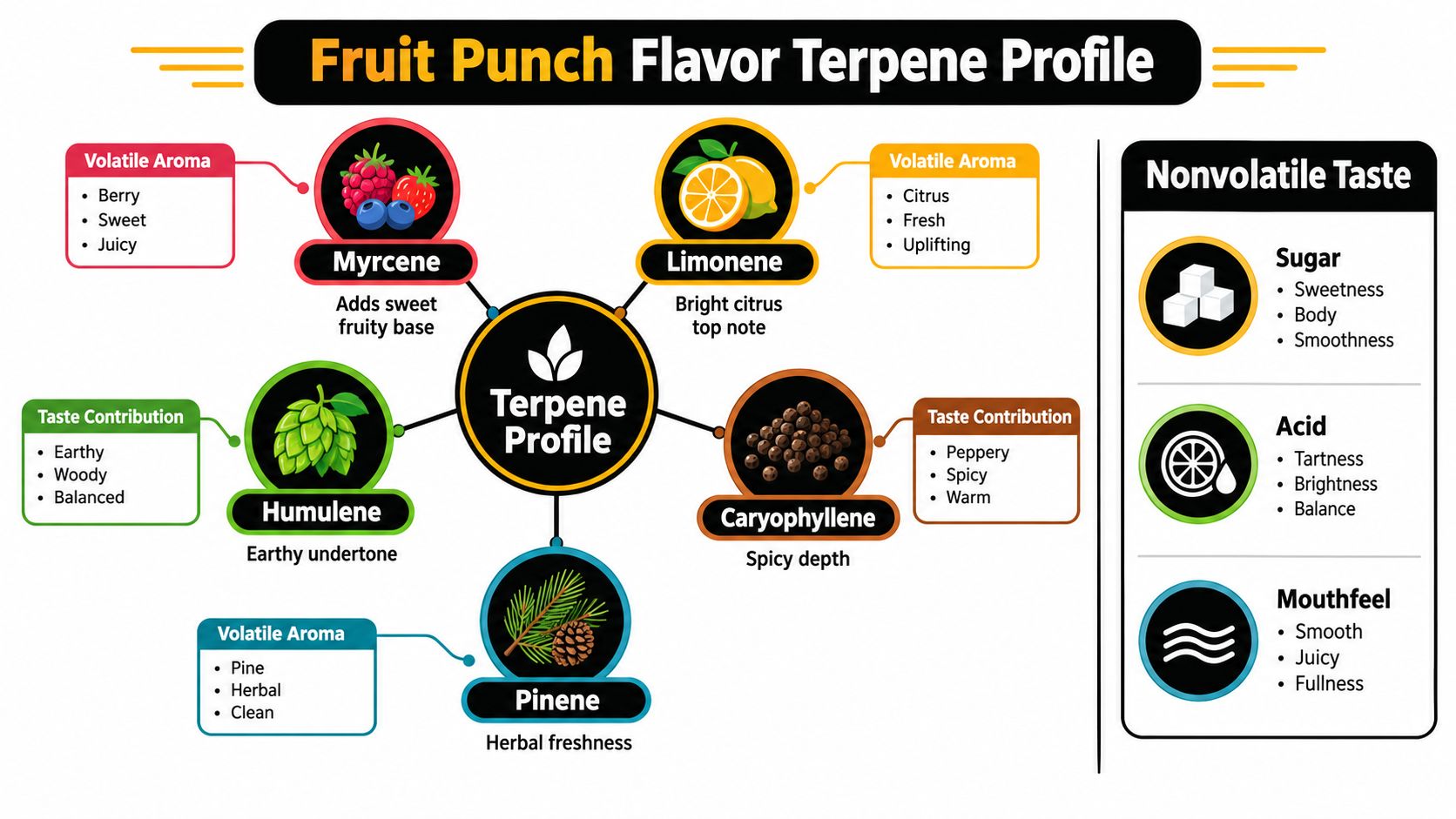 A detailed infographic illustrating the terpene profile of Fruit Punch flavor, breaking down volatile aromas and nonvolatile tastes.