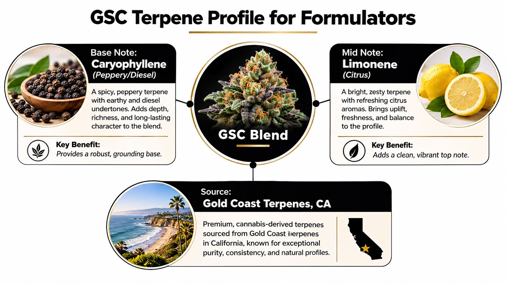 A detailed infographic showing the terpene profile for the GSC cannabis strain, highlighting Caryophyllene and Limonene components.