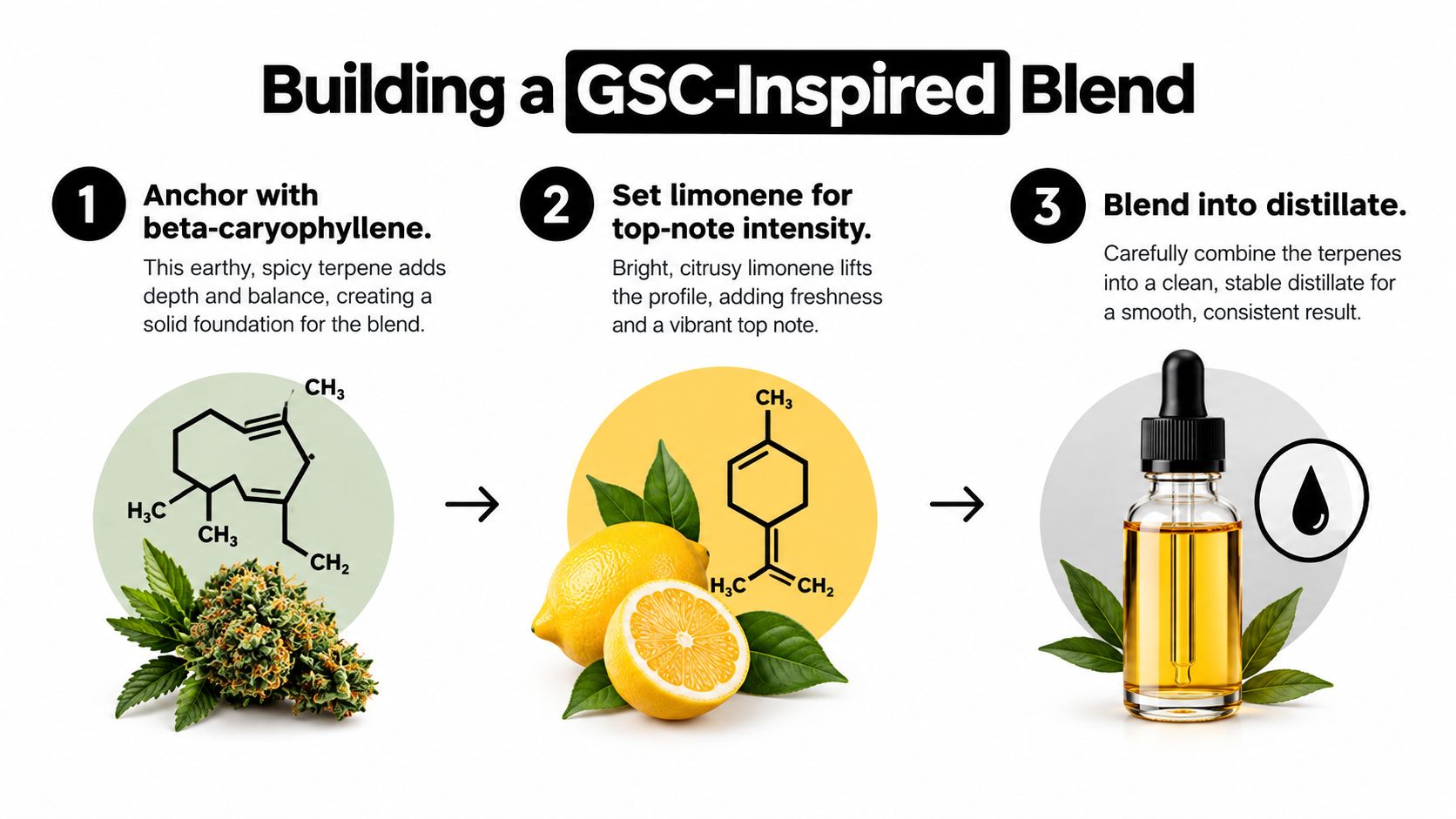 A step-by-step infographic showing how to build a GSC-inspired terpene blend with beta-caryophyllene and limonene.