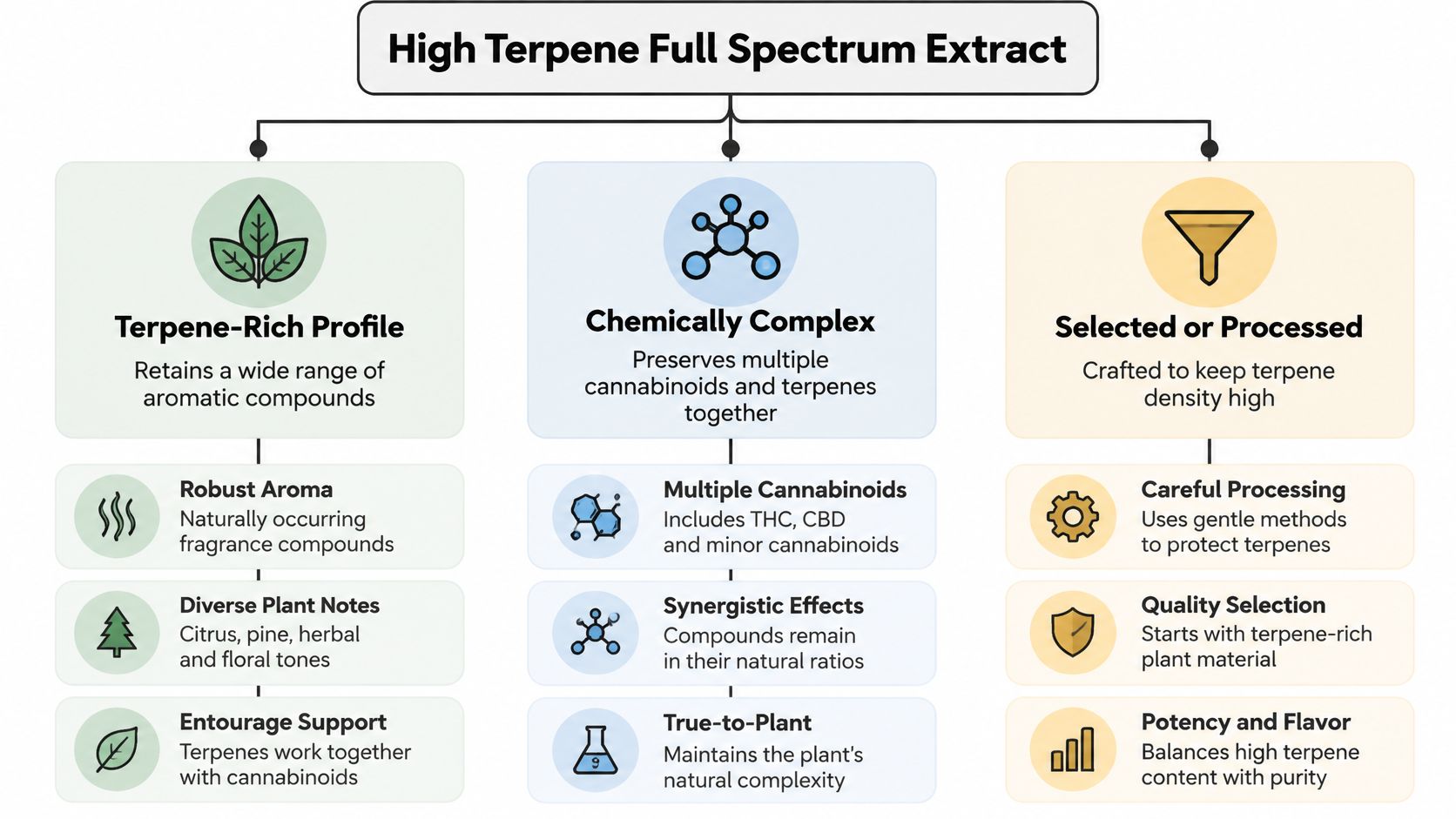 An infographic diagram explaining the characteristics of high terpene full spectrum extract for cannabis product education.
