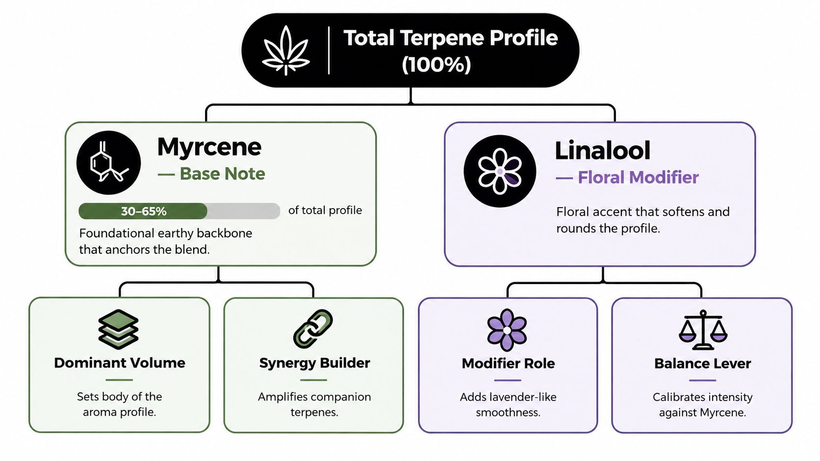 An educational infographic explaining the total terpene profile with Myrcene as the base and Linalool as the modifier.