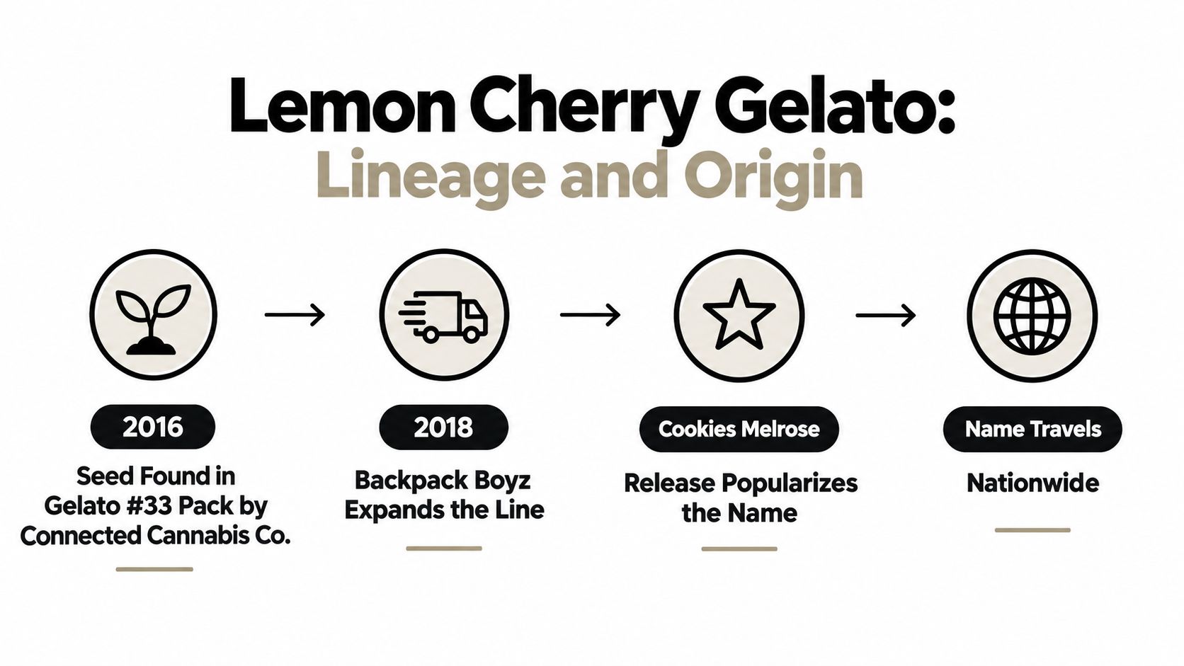 A timeline graphic illustrating the history, origins, and popularization of the Lemon Cherry Gelato cannabis strain.