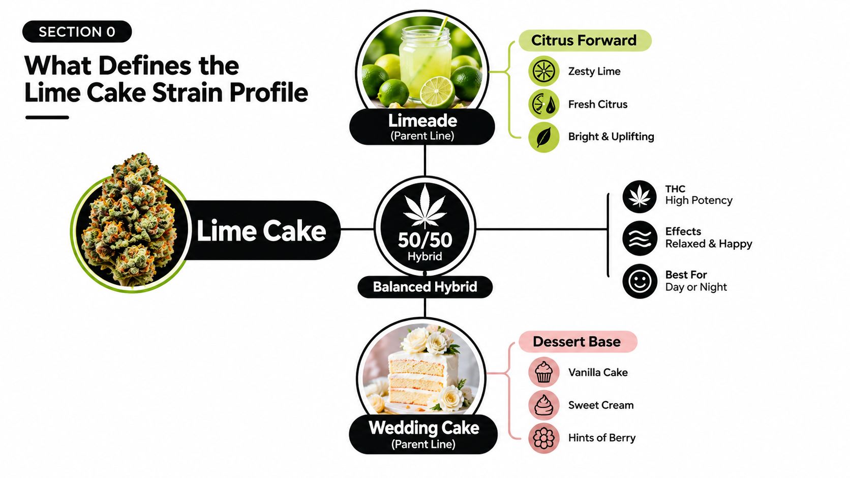 A detailed infographic explaining the genetic profile, parent strains, and effects of the Lime Cake cannabis strain.
